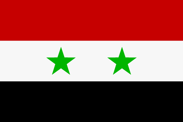 Syria Denounces US Blatant Interference, Refuses Claims of Civil War